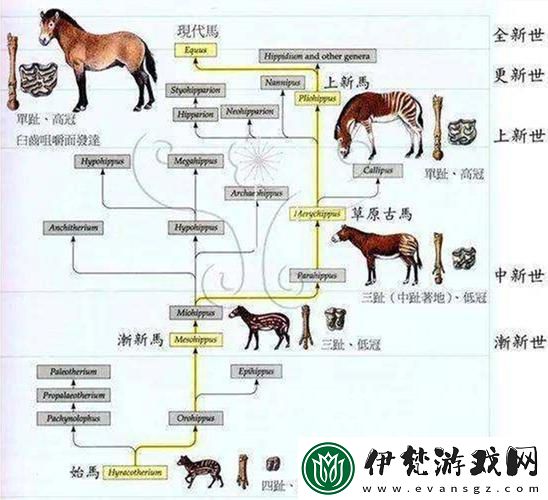 瞧瞧那些“科普人馬畜禽”鬧得網友熱議