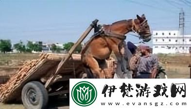 瞧瞧那些“科普人馬畜禽”鬧得網友熱議