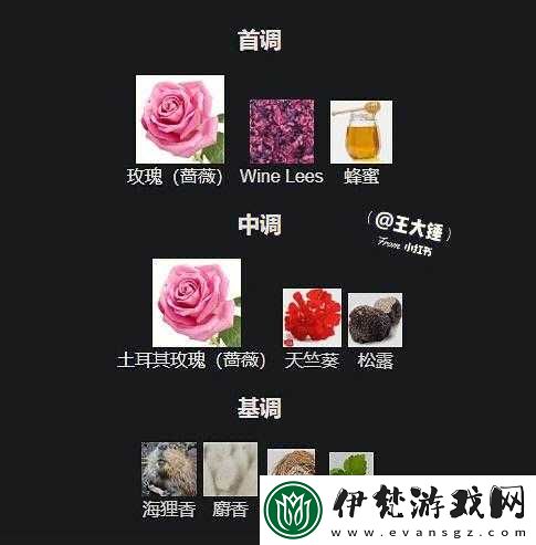 無人區玫瑰與夜色玫瑰的區別