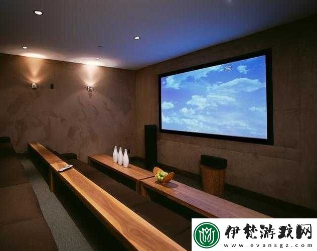成都私人家庭影院