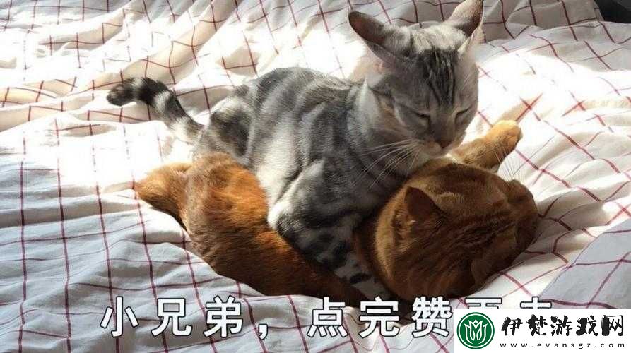 我幫你把小兄弟安撫