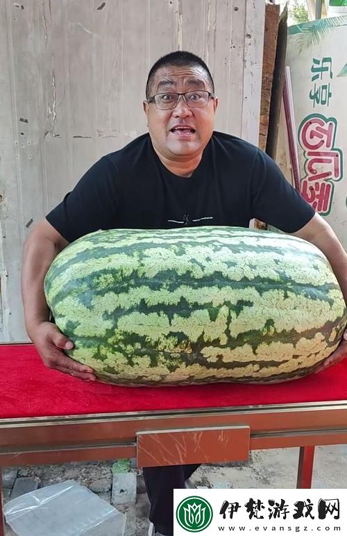 “911紅領巾”傳奇