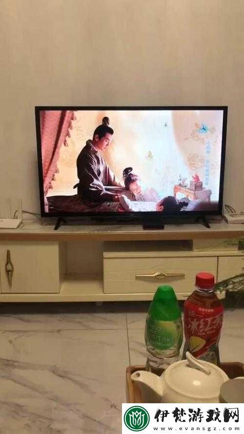 適合一個人看的電視推薦