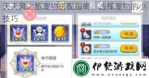 天天風之旅寵物搭配指南