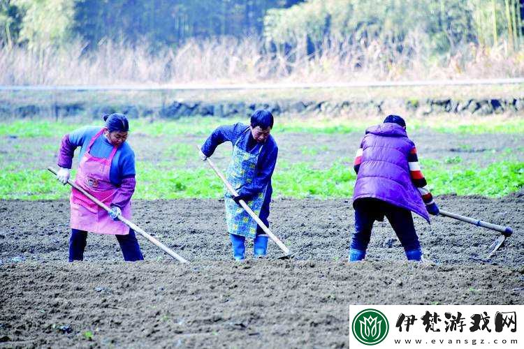 耕種媽媽肥沃土地