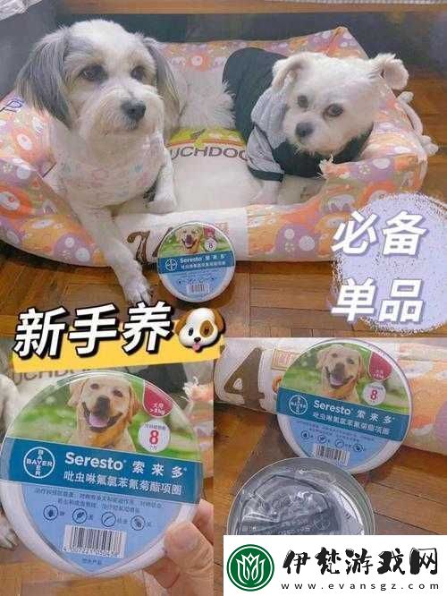人狗膠配方大全狗狗一天吃多少