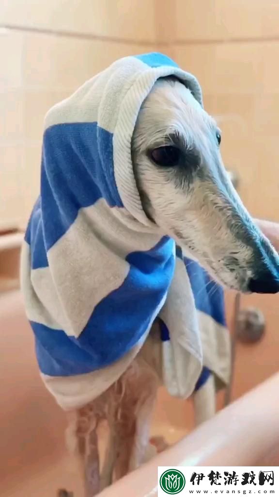 “長嘴犬”奇談