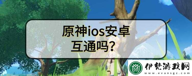 神兵器跨平臺游戲互通性解析