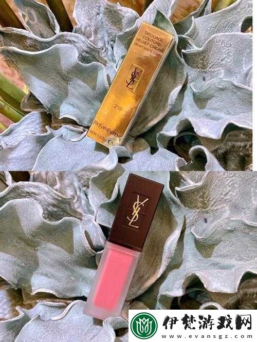 ysl