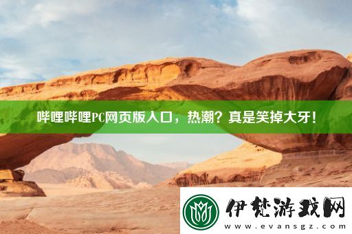 嗶哩嗶哩PC網(wǎng)頁版入口