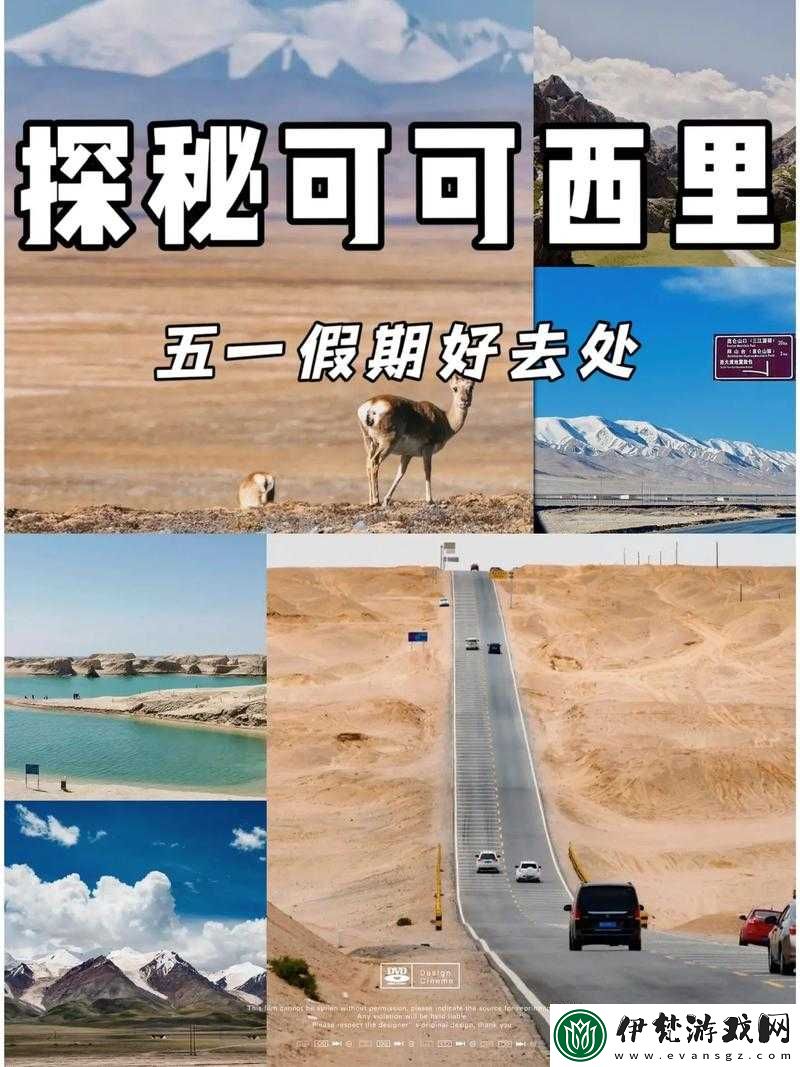 必看無人區一碼二碼三碼