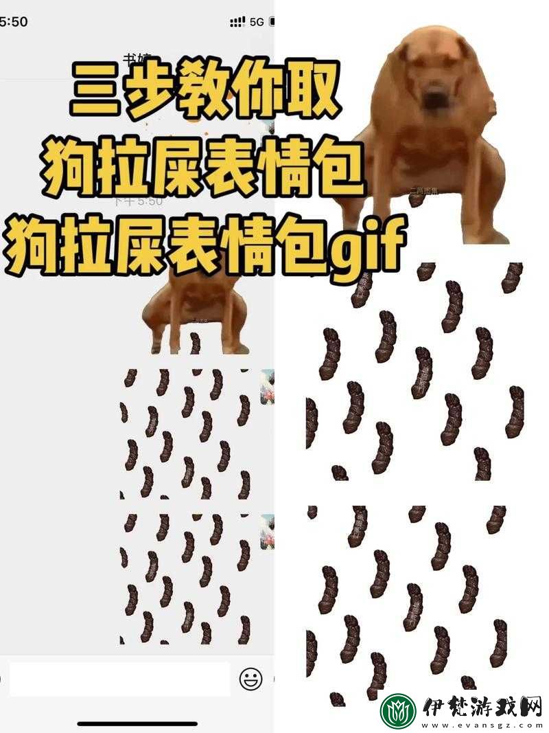 可愛狗狗接屎表情包
