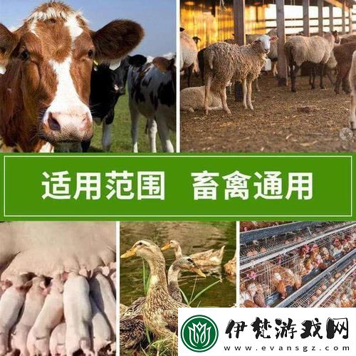 **的創新