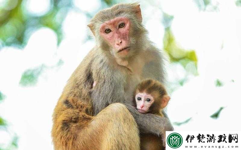 歡樂西游