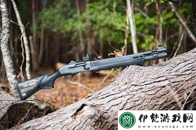 雙生視界最強霰彈槍排行榜單雙生視界霰彈槍強度排行一覽雙生視界優質霰彈槍排行呈現
