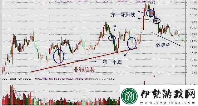 一陰三陽后