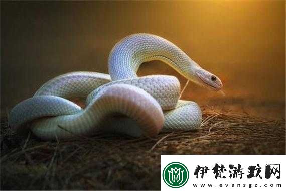 仙兒是指誰