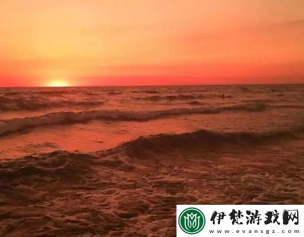 關于NPC大佬的澆灌日常