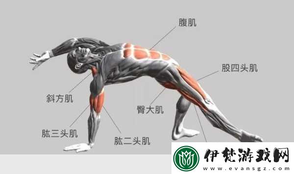 兩種進(jìn)入狂野式的方法有哪些