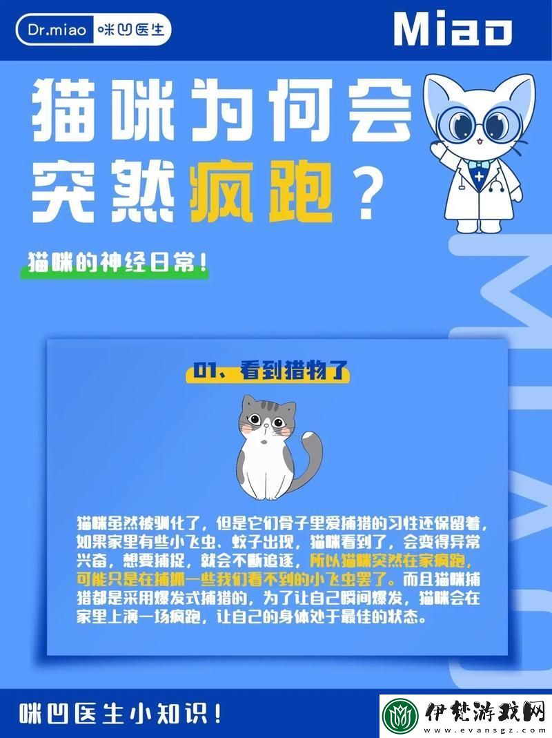 “喵星人的瘋狂跑酷