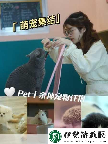 小貓愛消除煥新登場