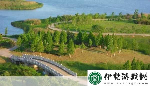 仙林蹤