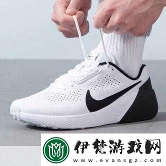 成品網(wǎng)站NIKE源碼1688免費