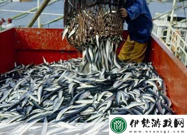 我想吃你扇貝里的水