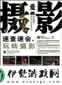 攝影藝術入門指南