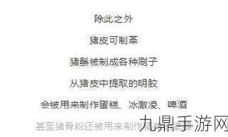 肉食教師食取報告1