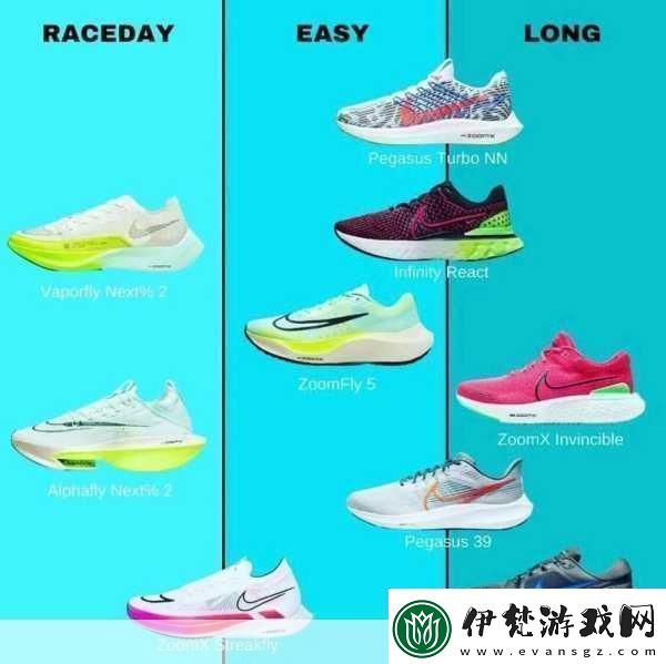 Zoom與人性Zoom1區別