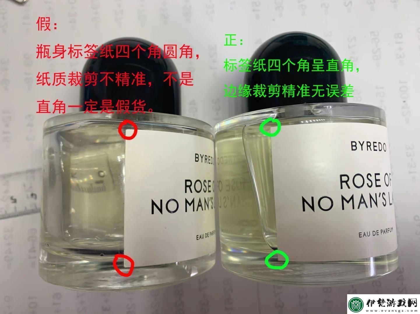 新版老版無人區(qū)玫瑰