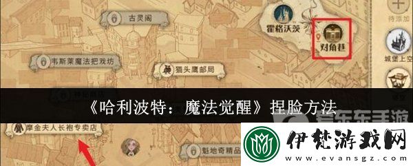 哈利波特魔法覺醒捏臉怎么改