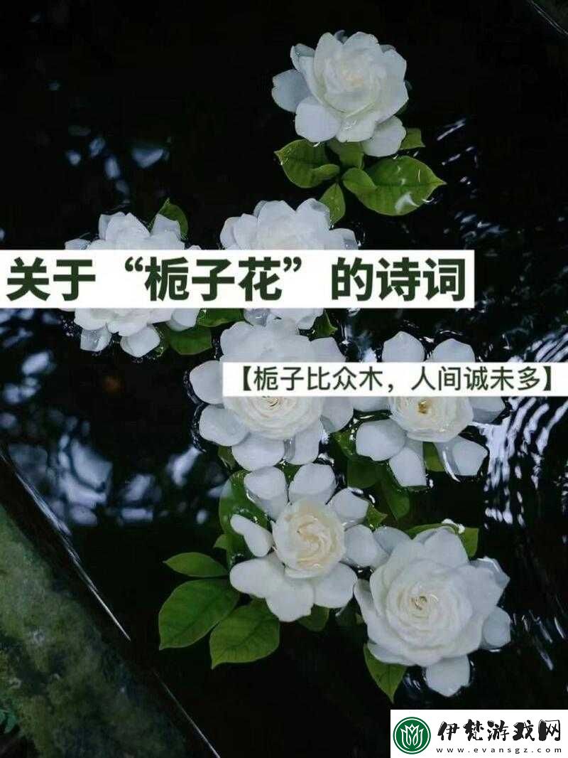 搭伙