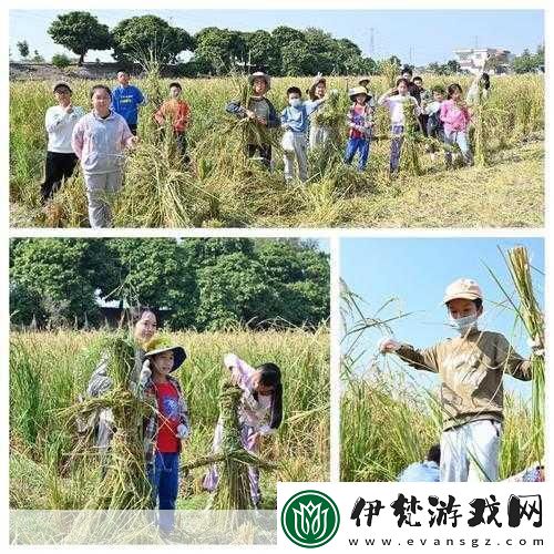 情侶插秧姿勢參考繪畫