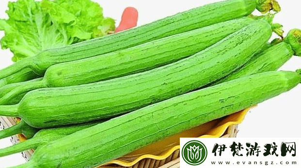 快速獲取絲瓜草莓視頻下載——暢享無限精彩內容