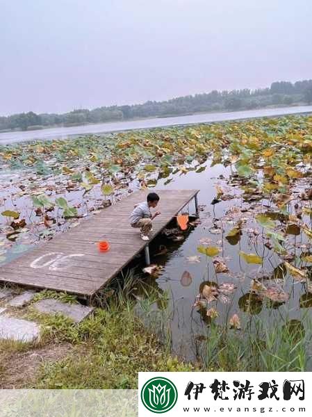 揭秘99無人區碼一碼二碼三1080p不再是夢
