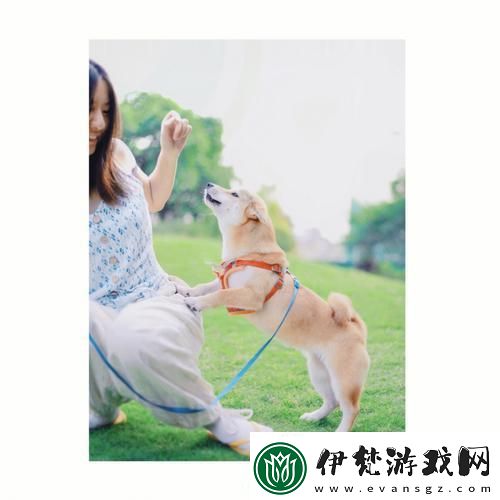 狗兒大變身