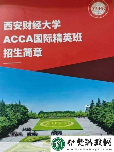 ACCA少女網課韓國