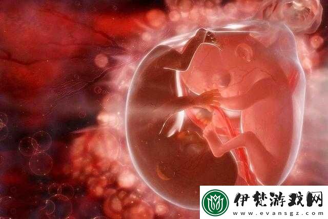 共生雙胞胎