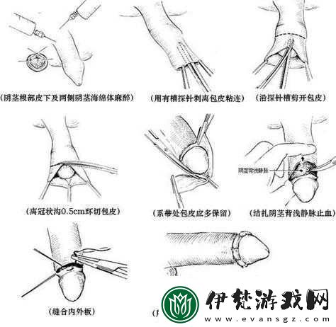 探索**的奧秘