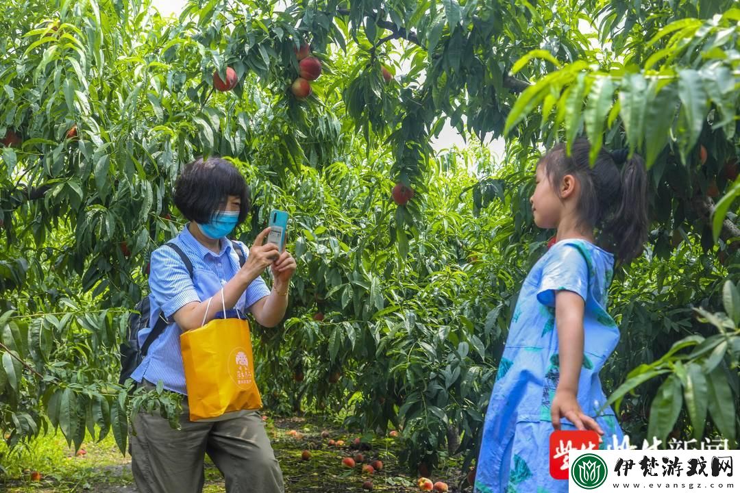 如何無廣告暢享桃子視頻在線完整觀看