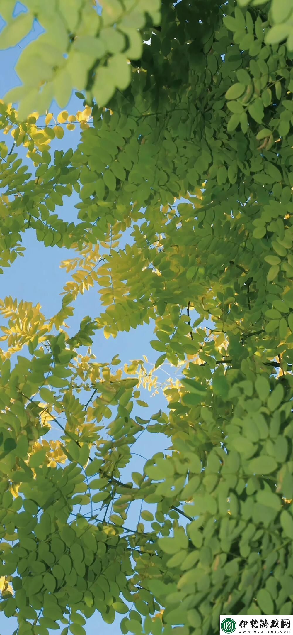 “哇這不是傳說中的WallpaperEngine手機版嗎”