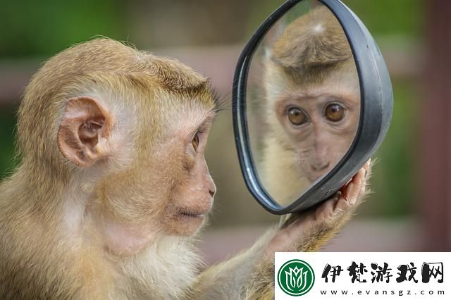 創意鏡像