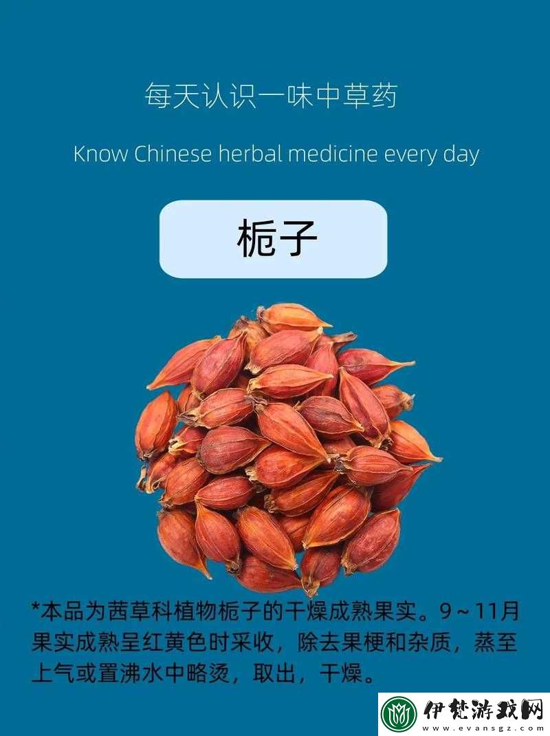 搭伙