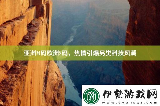 亞洲M碼歐洲S碼