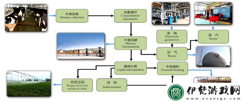 人與畜禽corp