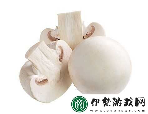 蘑菇