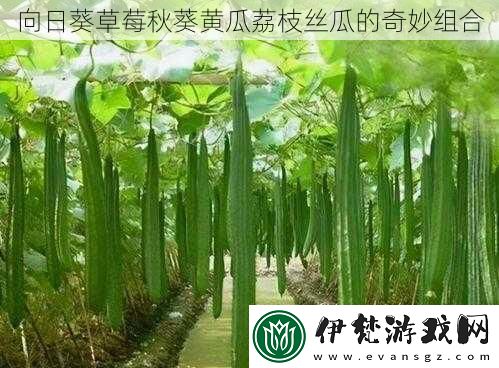 舌尖上的奇妙組合