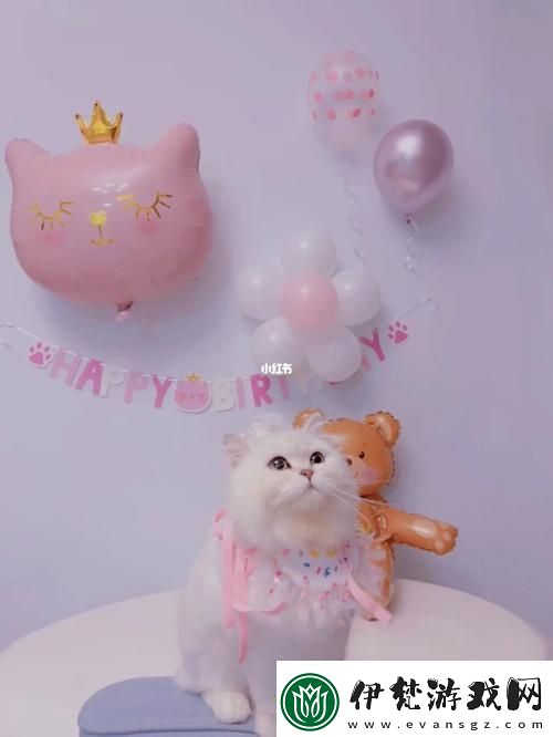 3Q智鬧匠心獨(dú)運(yùn)——科技圈里的另類生日慶典